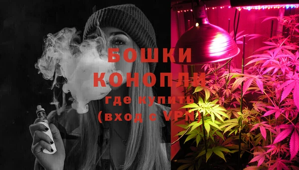 ешки Вязьма
