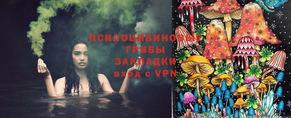 a pvp Вяземский