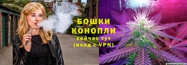 ешки Вязьма