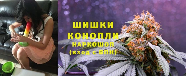 PSILOCYBIN Вязники