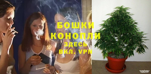 ешки Вязьма