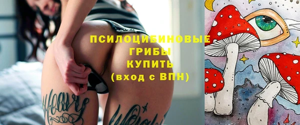 PSILOCYBIN Вязники