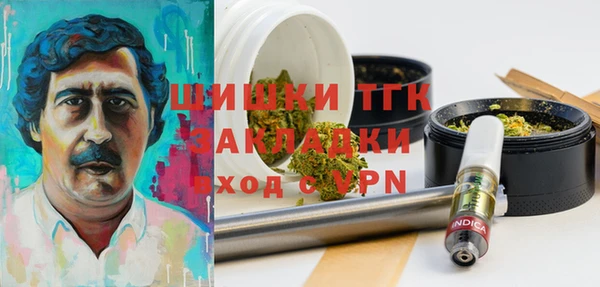 ешки Вязьма
