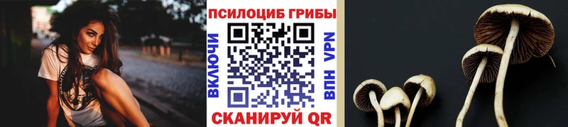 Галлюциногенные грибы прущие грибы  Шенкурск 